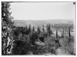 [Ein Karem. View of the Sisters of Zion Convent from the Russian Compound, Sorek Valley in the distance]