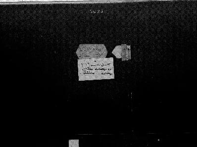 Open original Digital object
