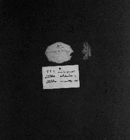 Register n° 334, from 10 June 1851 to 17 May 1852 (Gregorian) - 10 Shaʿbân 1267 to 27 Rajab 1268 (Islamic)
